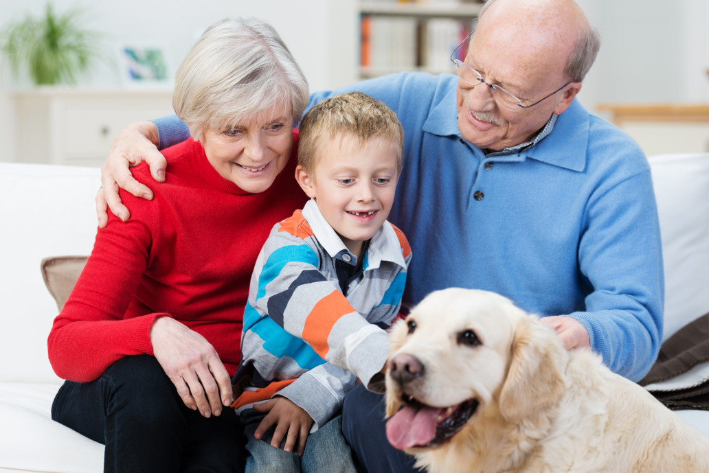 grandson with grandparents playing with a dog pet therapy gentle touch therapies holistic intervention Endless Journey Hospice Omaha Nebraska